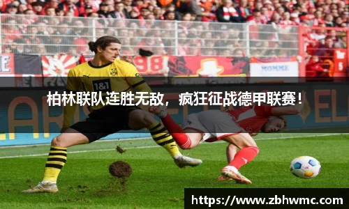 emc易倍体育官方