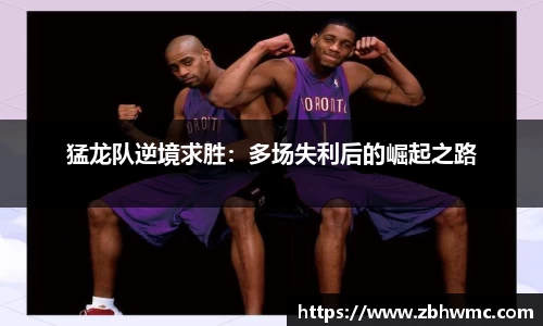 emc易倍·体育