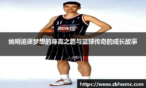 emc易倍体育